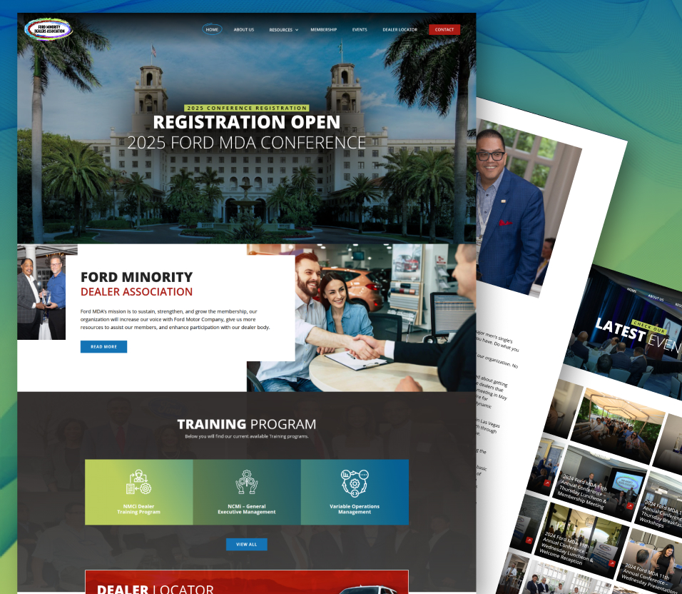 Our Portfolio
